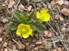 DSCN22391.JPG