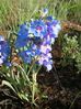 DSCN24461.JPG