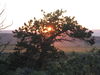 more_camping_pics_from_7_18_09_054.JPG
